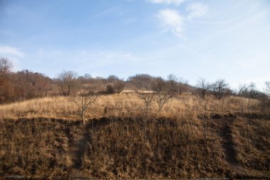 sonbahar dağlık manzara. Mavi gökyüzü temizleyin