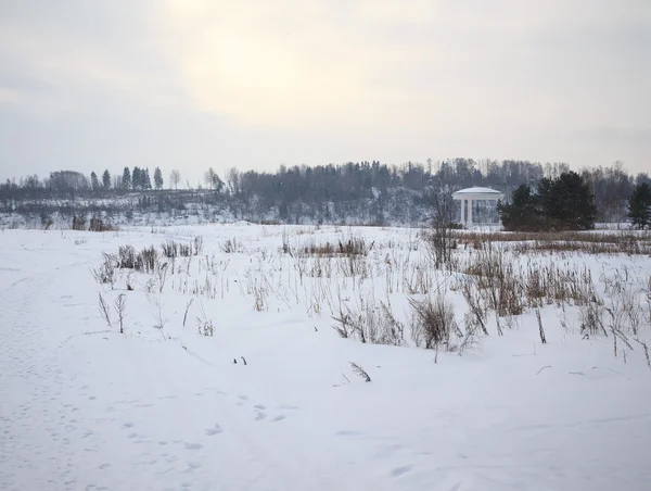 雪に覆われた冬の風景。森と s の背景に望楼 — ストック写真