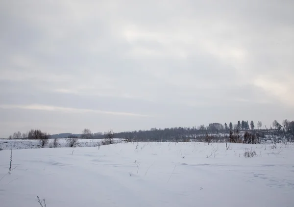 Pemandangan bersalju musim dingin. Latar belakang hutan dan langit — Stok Foto