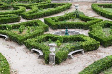 Eski park kıvırcık kesilmiş çalıların bileşimi