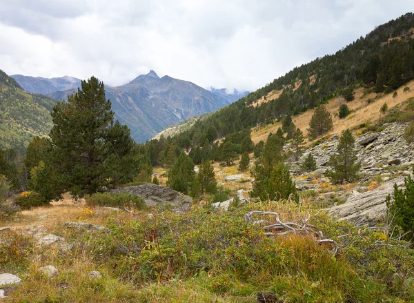 Paesaggio. Montagna, foresta, nuvole, erba secca — Foto Stock