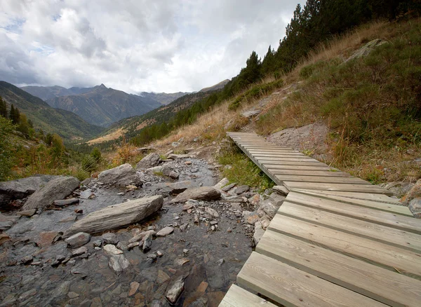 Pavimenti in legno su un fiume di montagna. Montagna, foresta, nuvole, d — Foto Stock