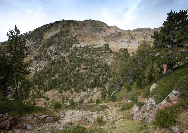 Landschaft. Berg, Wald, Wolken, trockenes Gras — Stockfoto