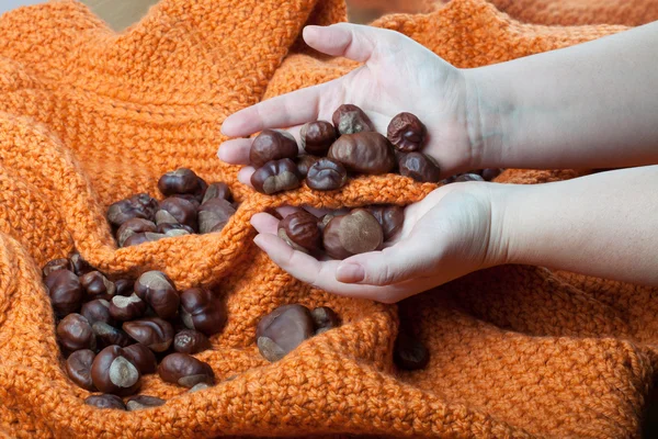 Castanhas em um fundo laranja de malha e nas mãos — Fotografia de Stock