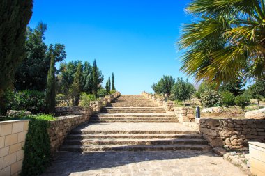 gökyüzüne parkta ağaçların arasında eski taş merdiven