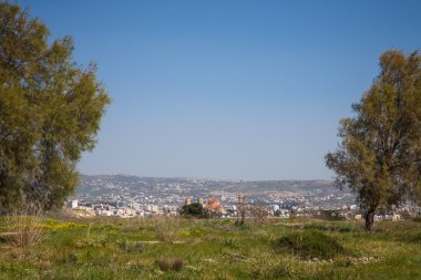 Yeşil alan iki ağaç arasında. Arka planda, şehir, 