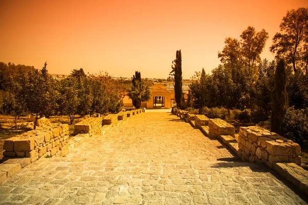 Eski taş merdiven gökyüzüne parkta ağaçların arasında. Zil sesi — Stok fotoğraf