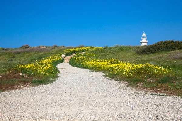 Camino pedregoso a través del campo con flores amarillas a la luzthou — Foto de Stock