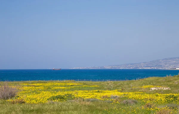 Prato verde con fiori gialli sullo sfondo il mare, il — Foto Stock