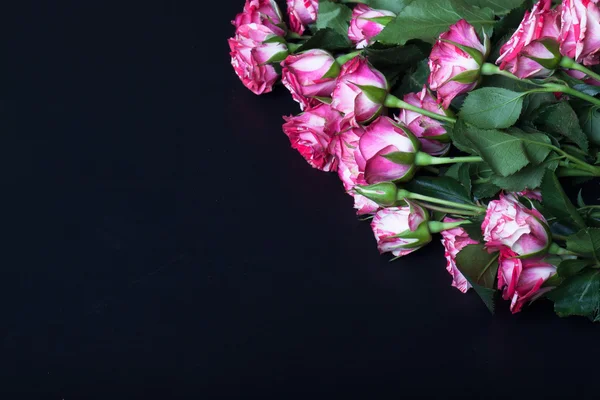 Rosas com um monte de folhas em um fundo preto. Espaço para texto Imagem De Stock