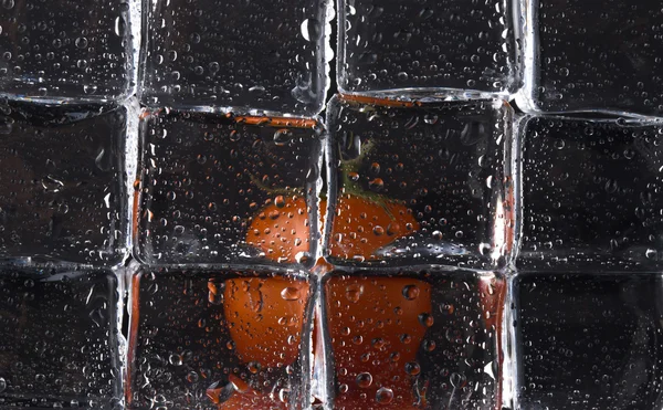 Pomodoro fresco dietro cubetti di ghiaccio bagnato su sfondo nero. Selettivo — Foto Stock