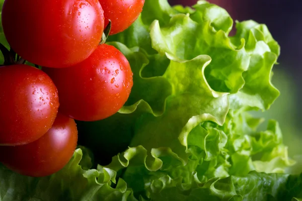 Fresh cherry tomatoes and green salad — Stock Photo, Image