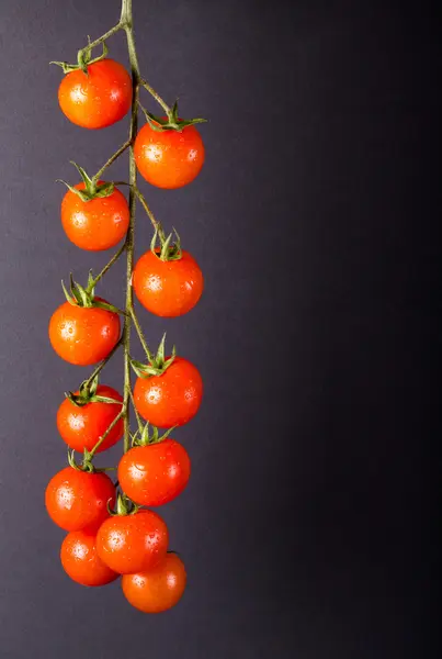 Куча свежих помидоров черри на черном фоне — стоковое фото
