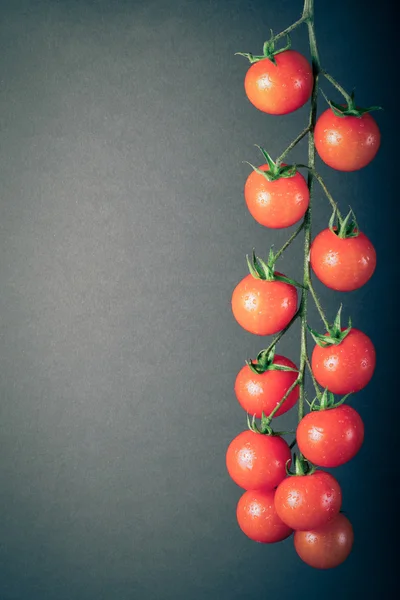 Куча свежих помидоров черри на черном фоне. Toned — стоковое фото