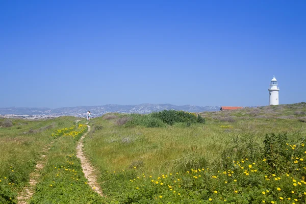 Hombre caminando por la carretera en un prado verde con flores amarillas un — Foto de Stock