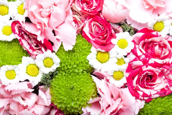 Fondo de flores frescas de colores — Foto de Stock