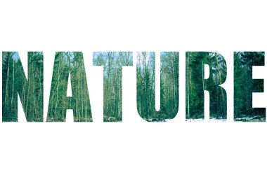 Word Doğa bahar ormandaki karlı manzara üzerinde. Tonda