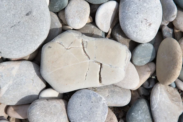 Olika grå stenar pebble beach. selektiv inriktning — Stockfoto