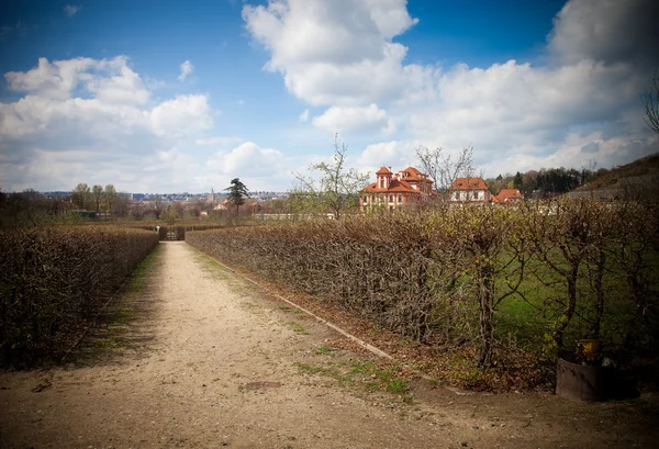 Die Landschaft der Provinz mit einem Weinberg. Frühling in der Tschechischen Republik — Stockfoto