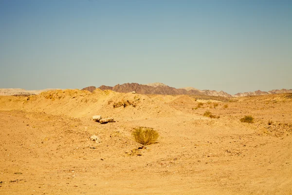 View of the nature reserve Ras Mohammed in Egypt. Selective focu — Stock Photo, Image