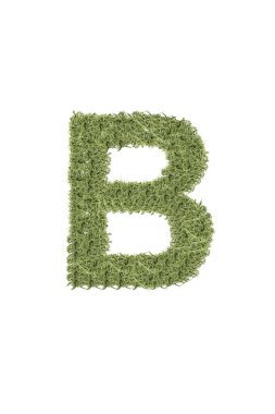 Roka alfabesi gelen mektup