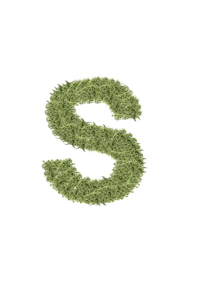 The letter from the alphabet of arugula — Stock Photo, Image