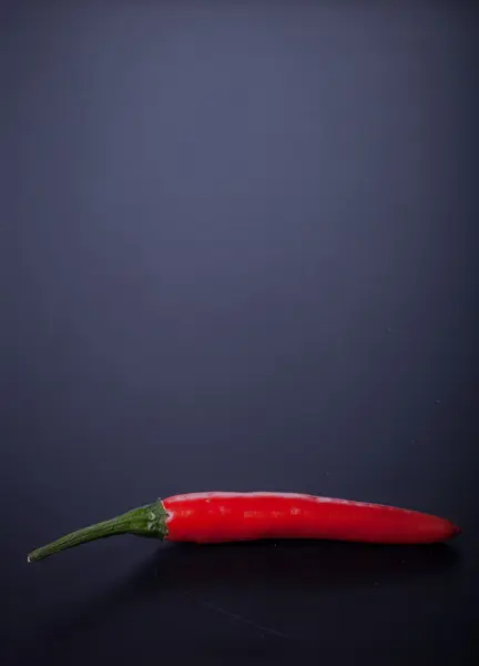 Red hot chili pepper on a black background. Toned — Stock Photo, Image