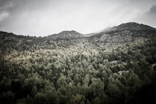 Forest, mountains and clouds. Landscape. Andorra. Toned — Stock Photo, Image