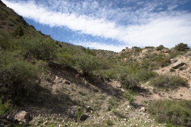 Fan dağlarda tepelik peyzaj. Pamir. Tacikistan