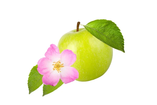 Manzana verde con hojas y rosa mosqueta flor aislada sobre blanco b —  Fotos de Stock