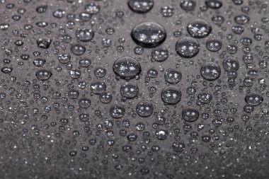 bir renk arka plan üzerinde Su damlacıkları. gri. sığ derinliği bes