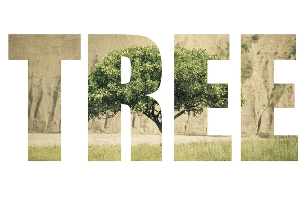 Слово "TREE" над горбистим пейзажем з самотньою деревом у фан М — стокове фото