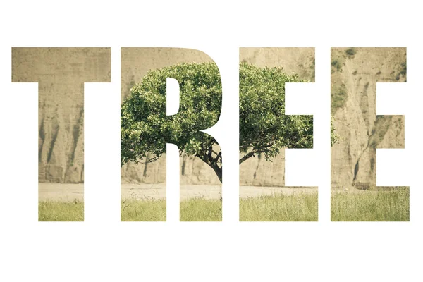 Word TREE over the hilly landscape with a lone tree in the Fan M — Stock fotografie