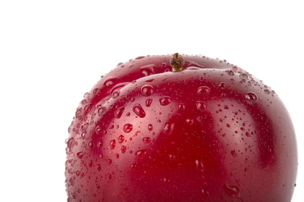 Ameixa fresca com gotas de água isoladas sobre fundo branco — Fotografia de Stock