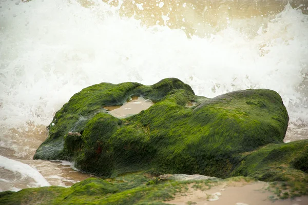 Ondas quebrando na pedra coberta com algas marinhas — Fotografia de Stock