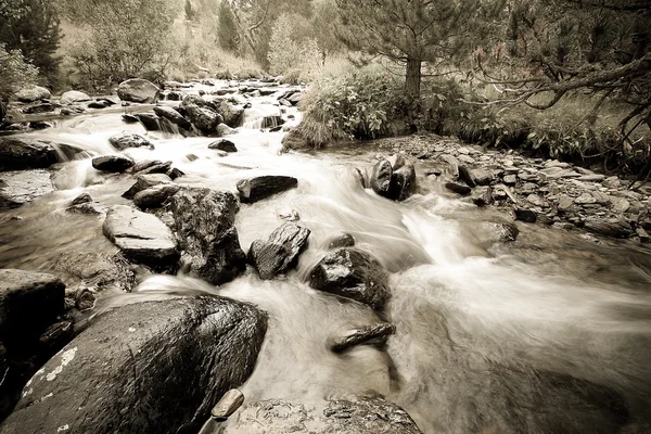 Stürmisches Wasser eines Gebirgsflusses im Wald. Selektiver Fokus. — Stockfoto