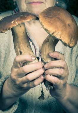 yaşlı bir kadın beyaz bir mantar tutan eller