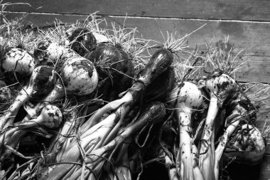 Taze soğan bir ürün aldım. arka plan. tek renkli