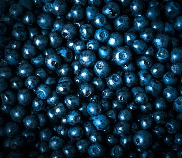 Blueberries collected manually. background — Stock Photo, Image