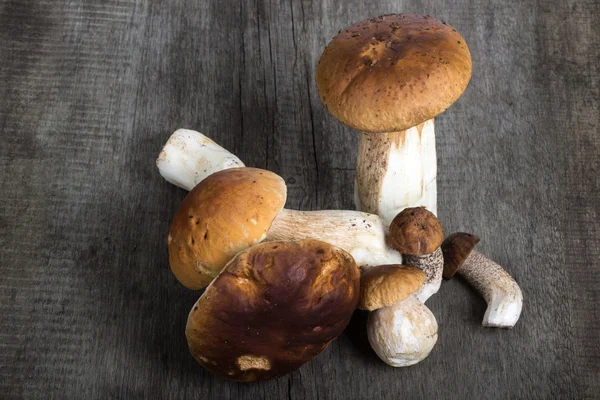 Passi e boletus sullo sfondo di una vecchia tavola di legno — Foto Stock