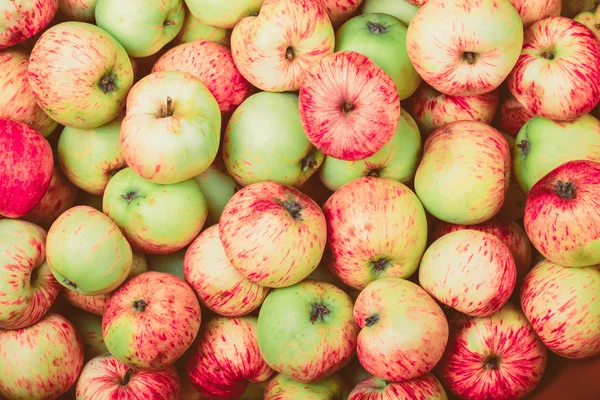 Sfondo naturale di mele di stagione giallo-rosse. Tonica — Foto Stock