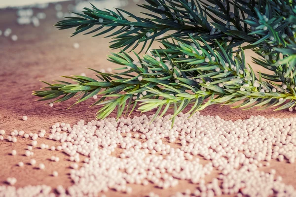 Rama de un árbol de Navidad con trozos de espuma de plástico como la nieve — Foto de Stock