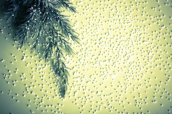 Small branch of a Christmas tree with pieces of foam plastic lik — Stock Photo, Image