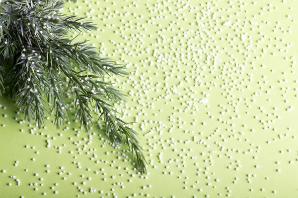 Small branch of a Christmas tree with pieces of foam plastic lik — Stock Photo, Image