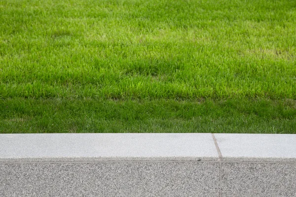 Groen gras op het gazon. Selectieve aandacht. Ondiepe scherptediepte — Stockfoto