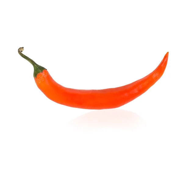 Red hot chili peper met schaduw op witte achtergrond — Stockfoto