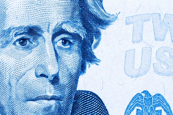 Close-up op Andrew Jackson staand op twintig dollarbiljet. Afgezwakt — Stockfoto