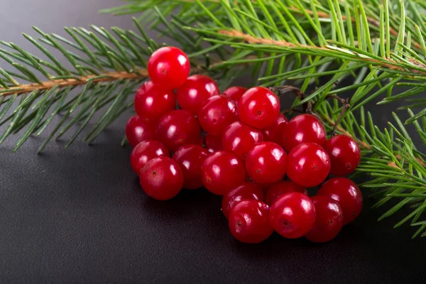 Bright red juicy berries of viburnum and green fresh branch of C — Stockfoto