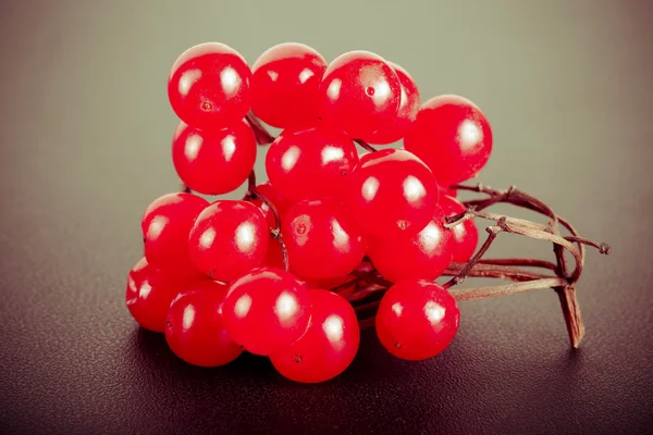 Viburnum berries on the black background. Space for text. Billet — Stock Photo, Image