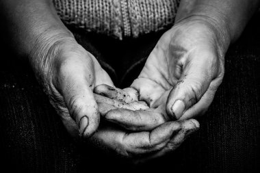 Elleri onun kucağına yatan yaşlı bir kadın. Tonda